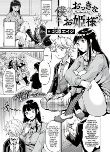 Boku no Okkina Ohimesama