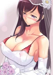Bride Training cover