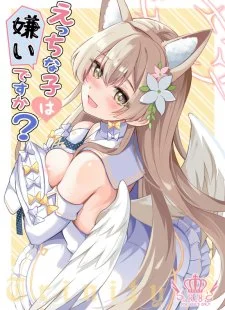 Ecchi na Ko wa Kirai desu ka