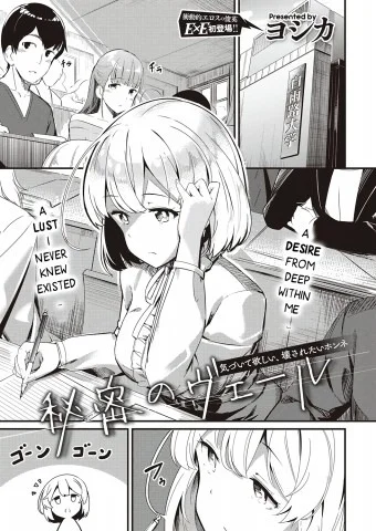 Himitsu no Veil