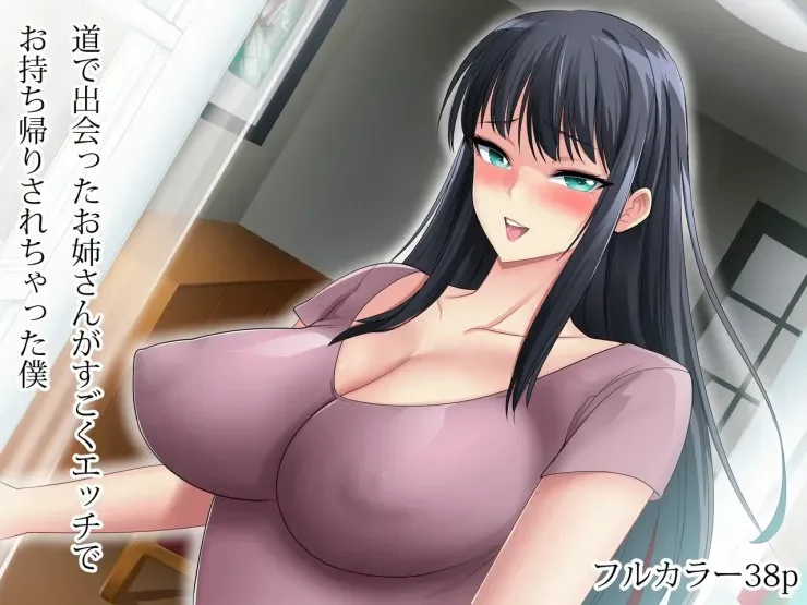 Michi de Deatta Onee-san ga Sugoku Ecchi de Omochikaeri Sarechatta Boku