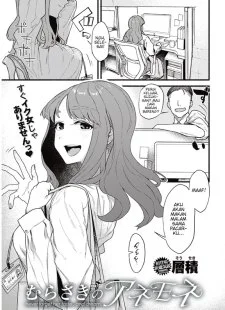 Murasaki no Anemone