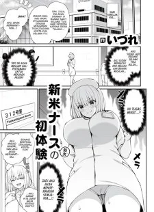 Shinkome Naasu (Shojo) no Hatsutaiken