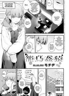 Torawareta Hina ga Sugaru no wa Daraku e no Michishirube